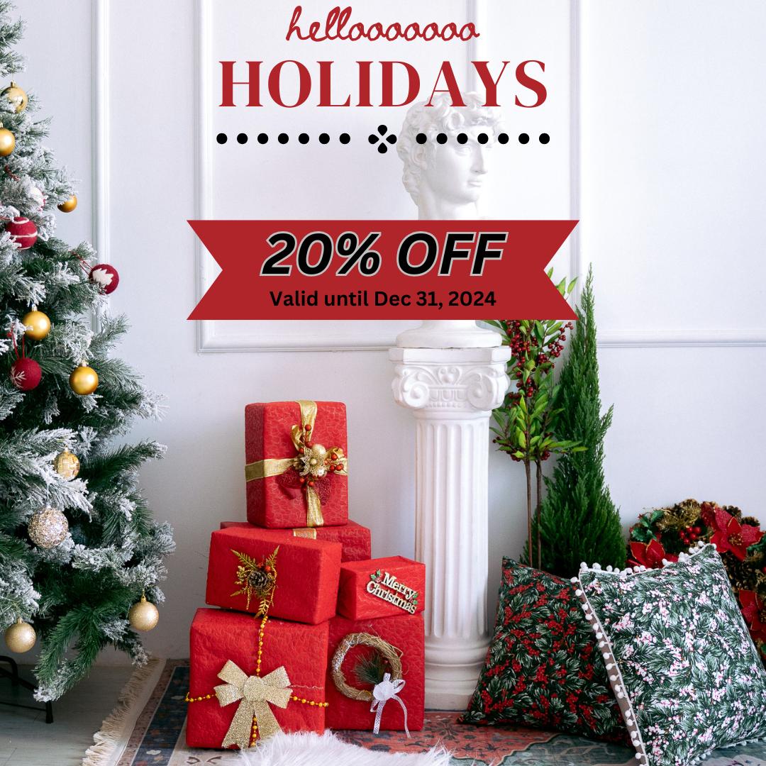 Festive Offer - 20% Off on Services